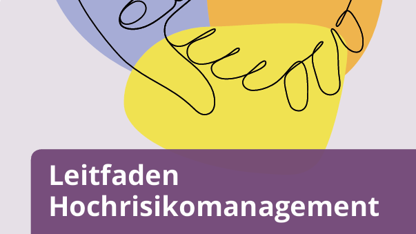 Leitfaden Hochrisikomanagement
